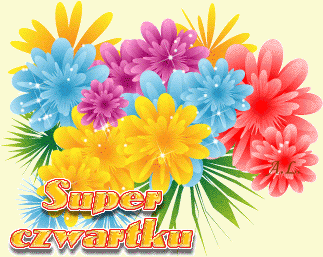 Kolorowe kwiaty super czwartku